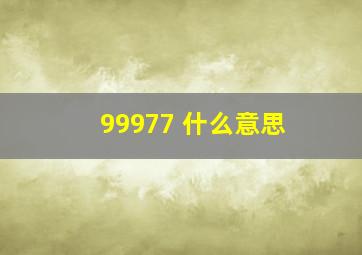 99977 什么意思